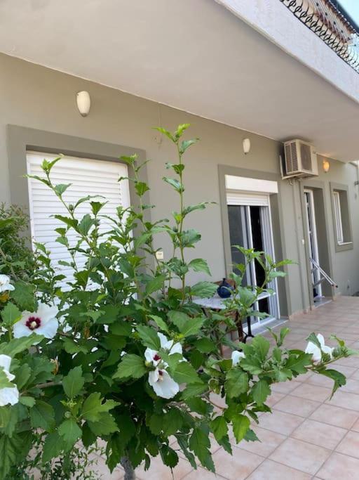 Ilisia Neapoli Apartments 1 Neápolis Extérieur photo