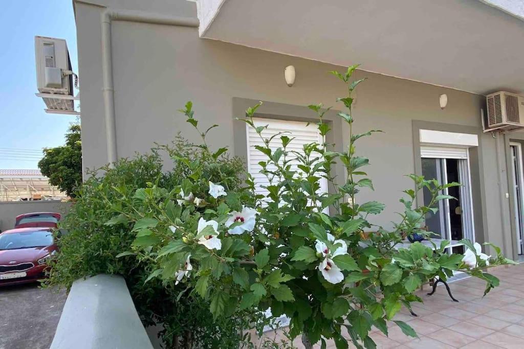 Ilisia Neapoli Apartments 1 Neápolis Extérieur photo